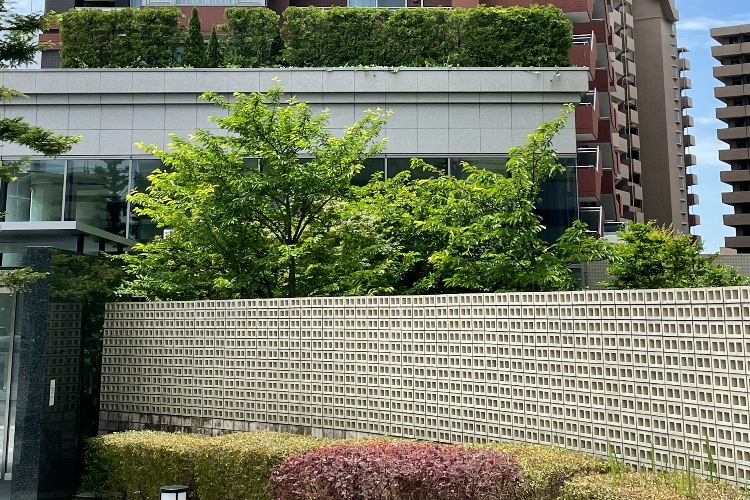 パークスクエア北大阪の植栽②